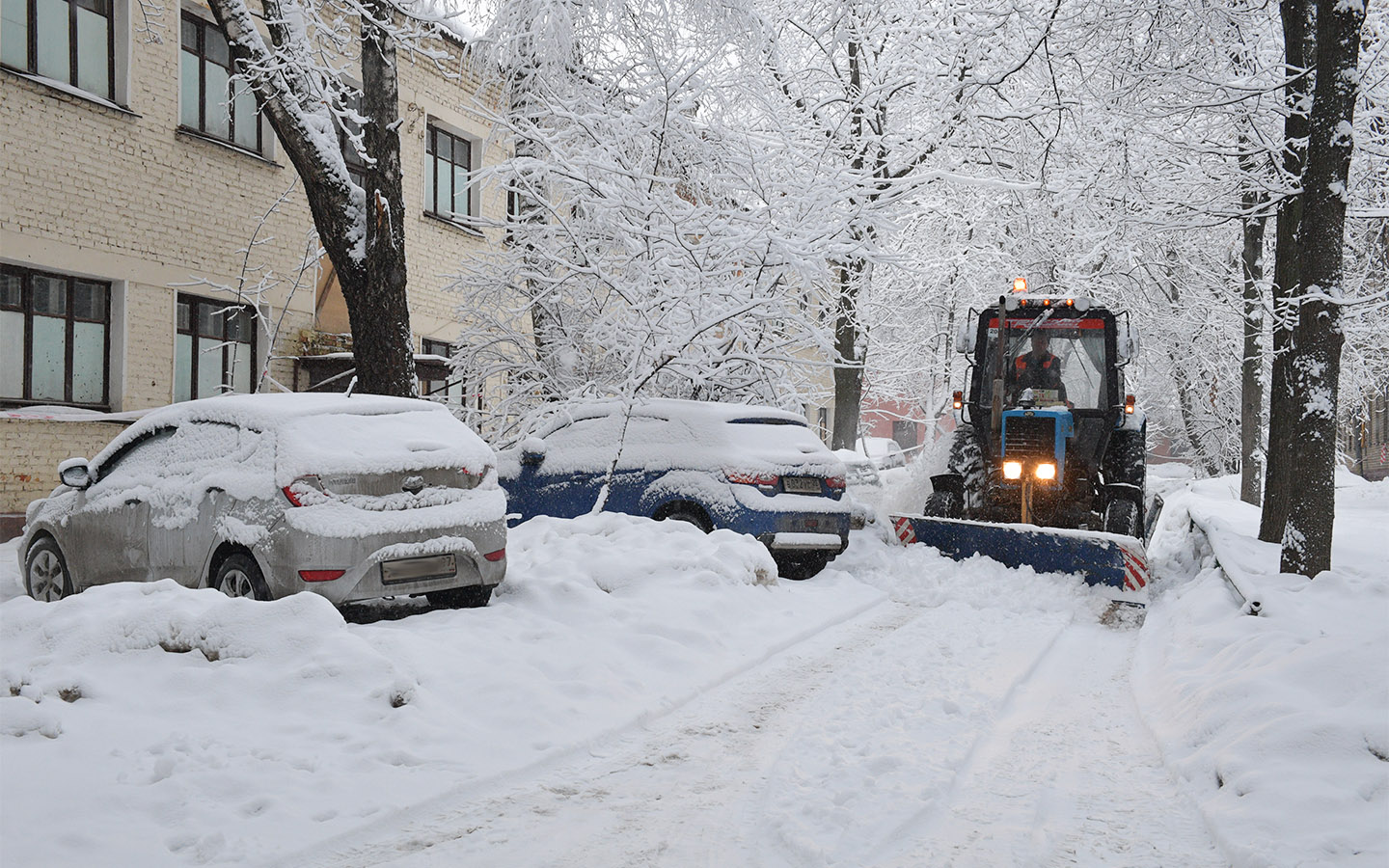 Вес автомобиля давит на землю, что повреждает корни растений под снегом