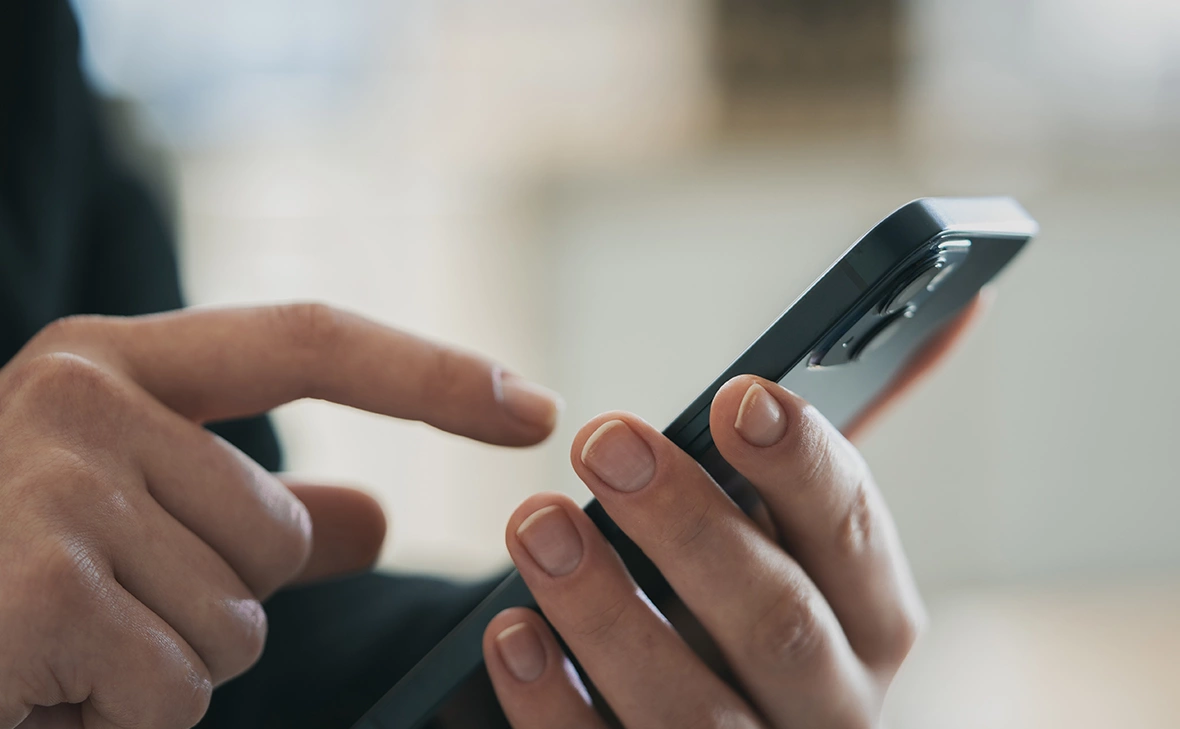 sebra / Shutterstock