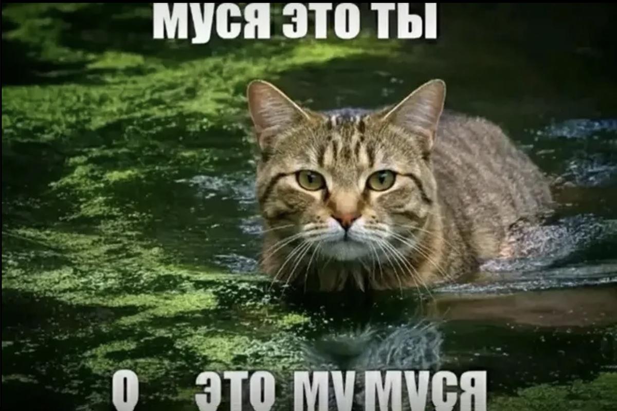 «О, это Мумуся» - милое прозвище для любимого животного
