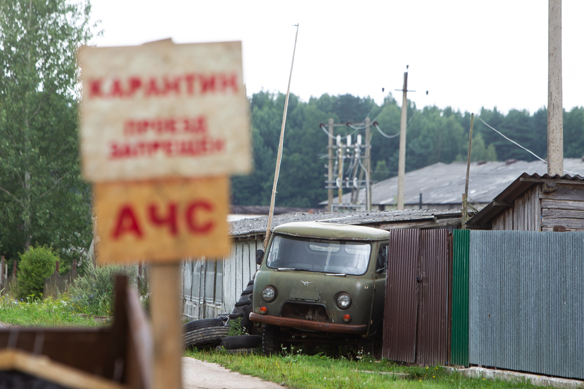 Александр Подгорчук