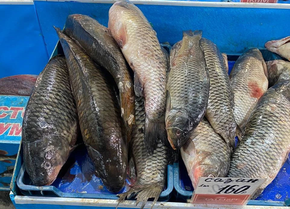 РБК Приморье