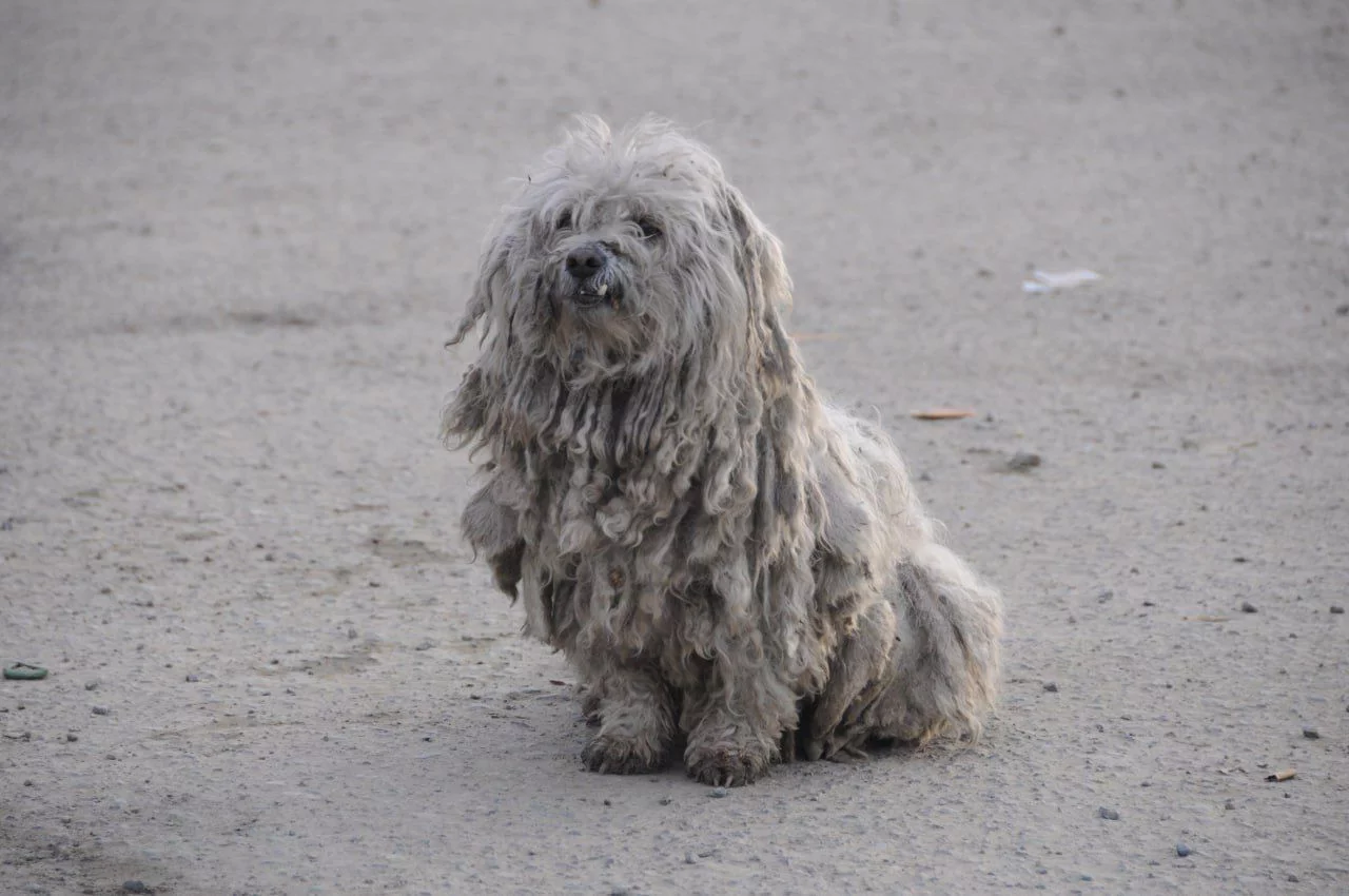 РБК Приморье