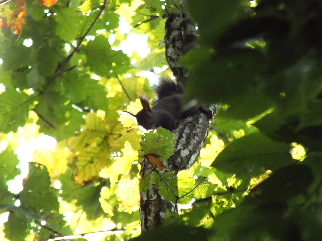 РБК Приморье