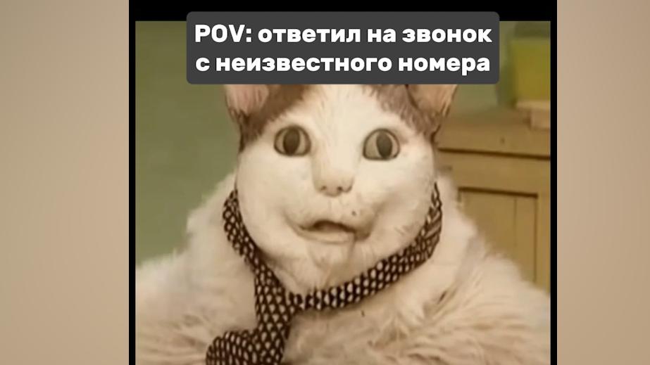 упоротый кот - Создать мем - Meme-arsenal.com