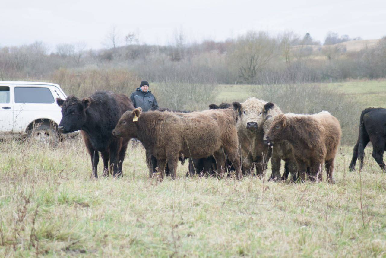 Фото: телеграм-канал Алексея Беспрозванных
