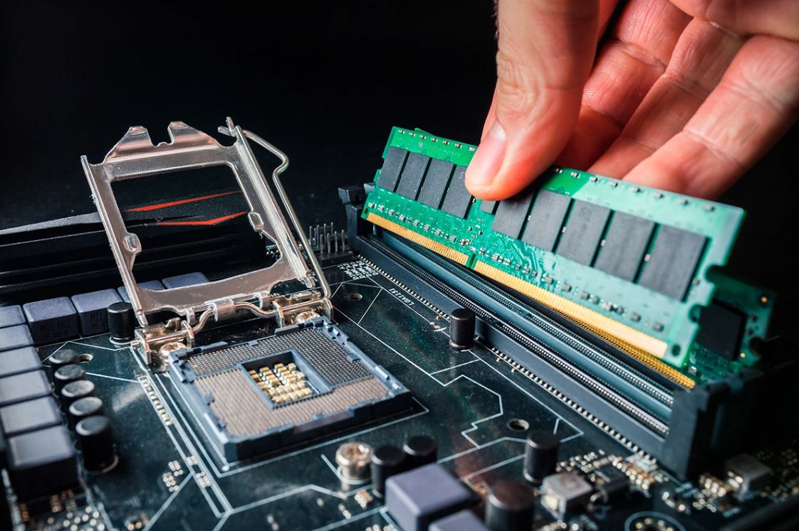 Фото: Petr Svoboda / Shutterstock / FOTODOM