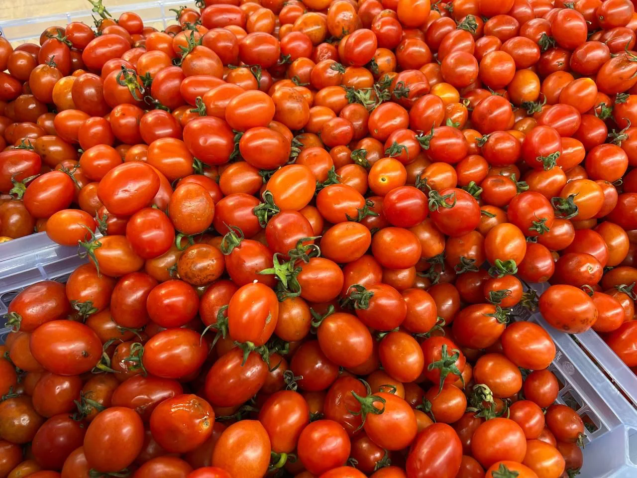 РБК Приморье