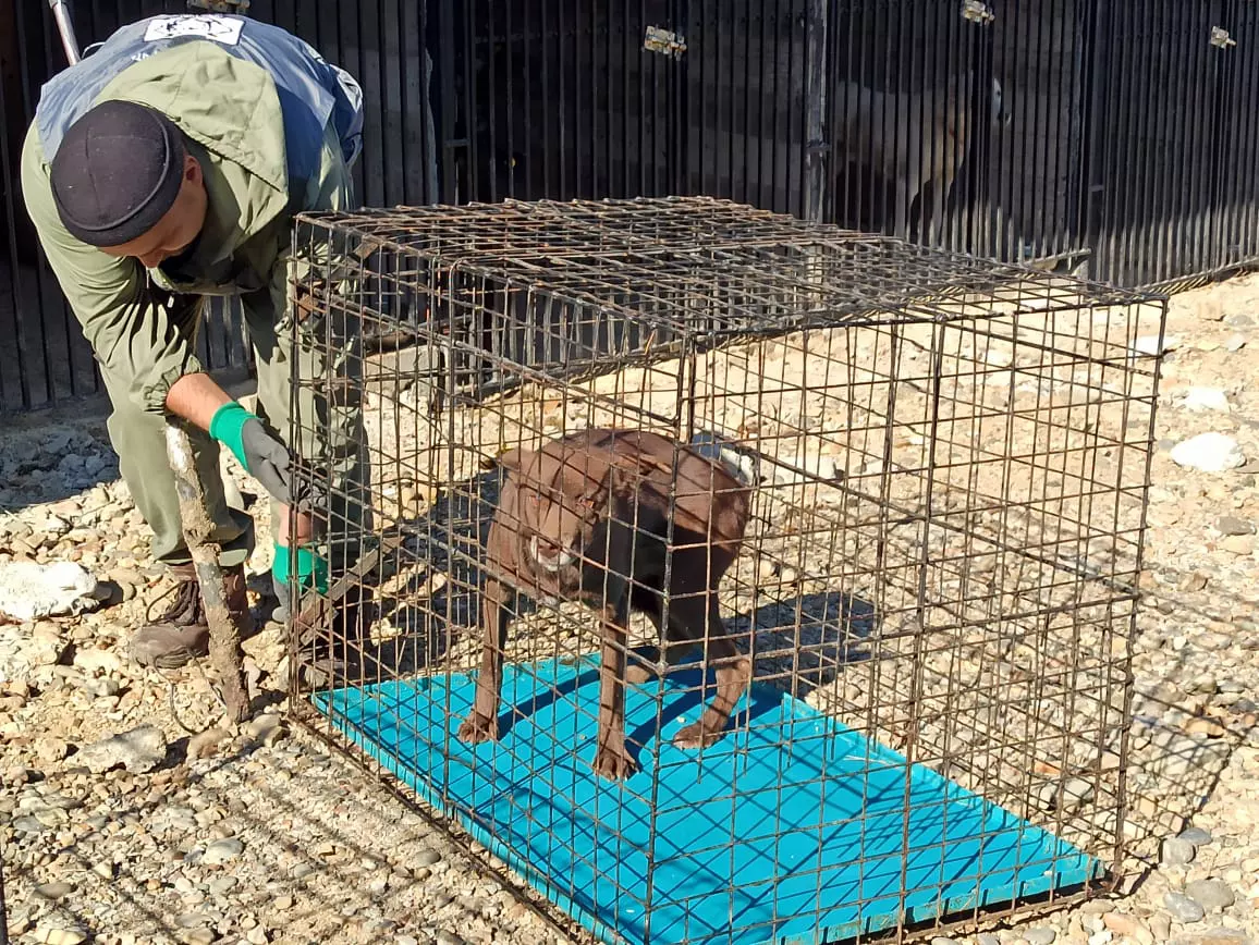 Администрация Владивостока