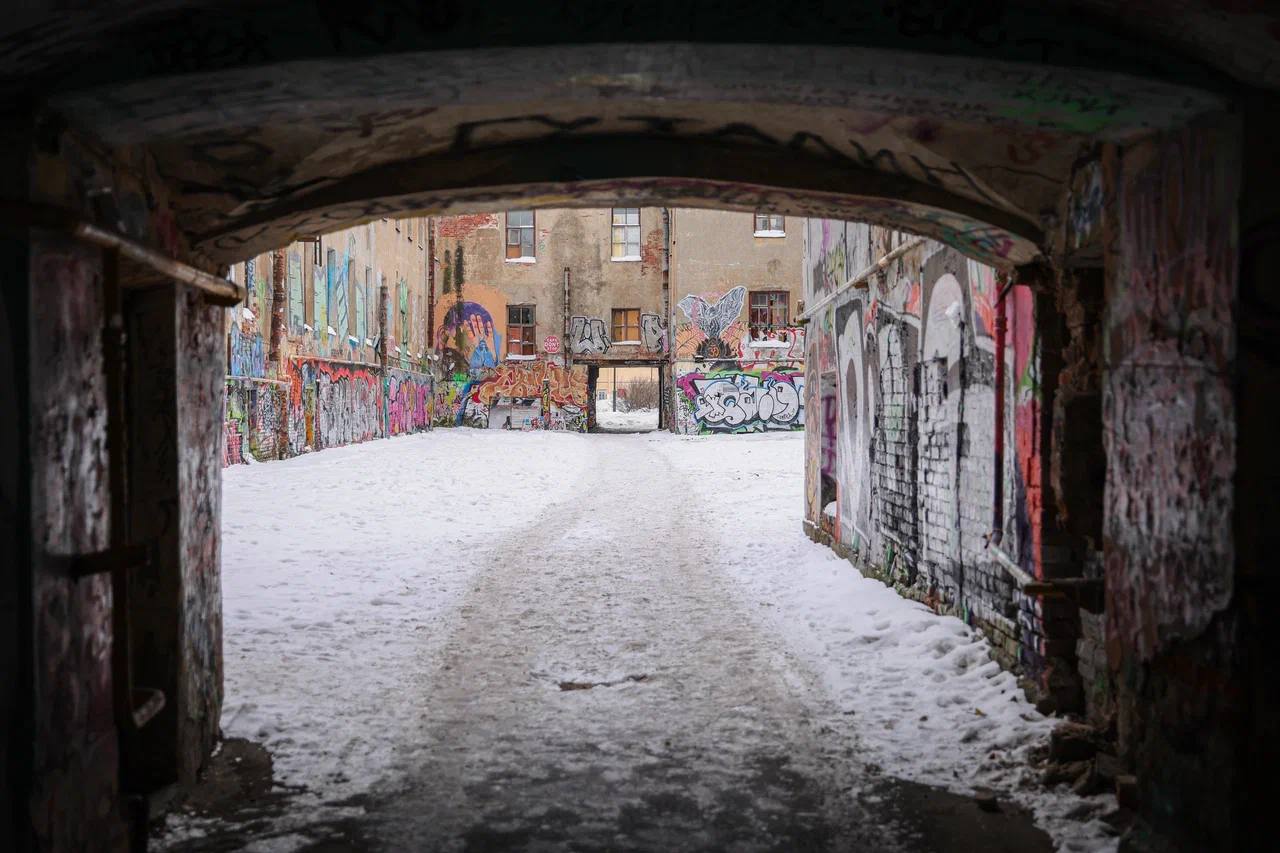 Фото: telegram-канал Пиотровский Online