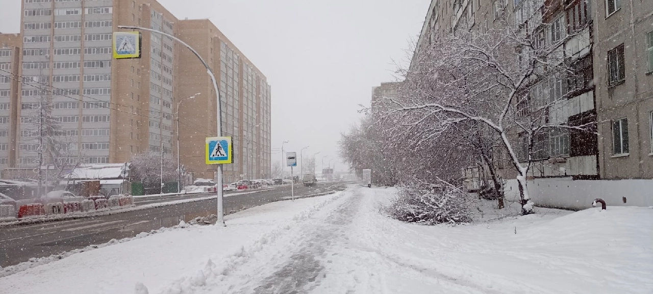 Светлана Садырина
