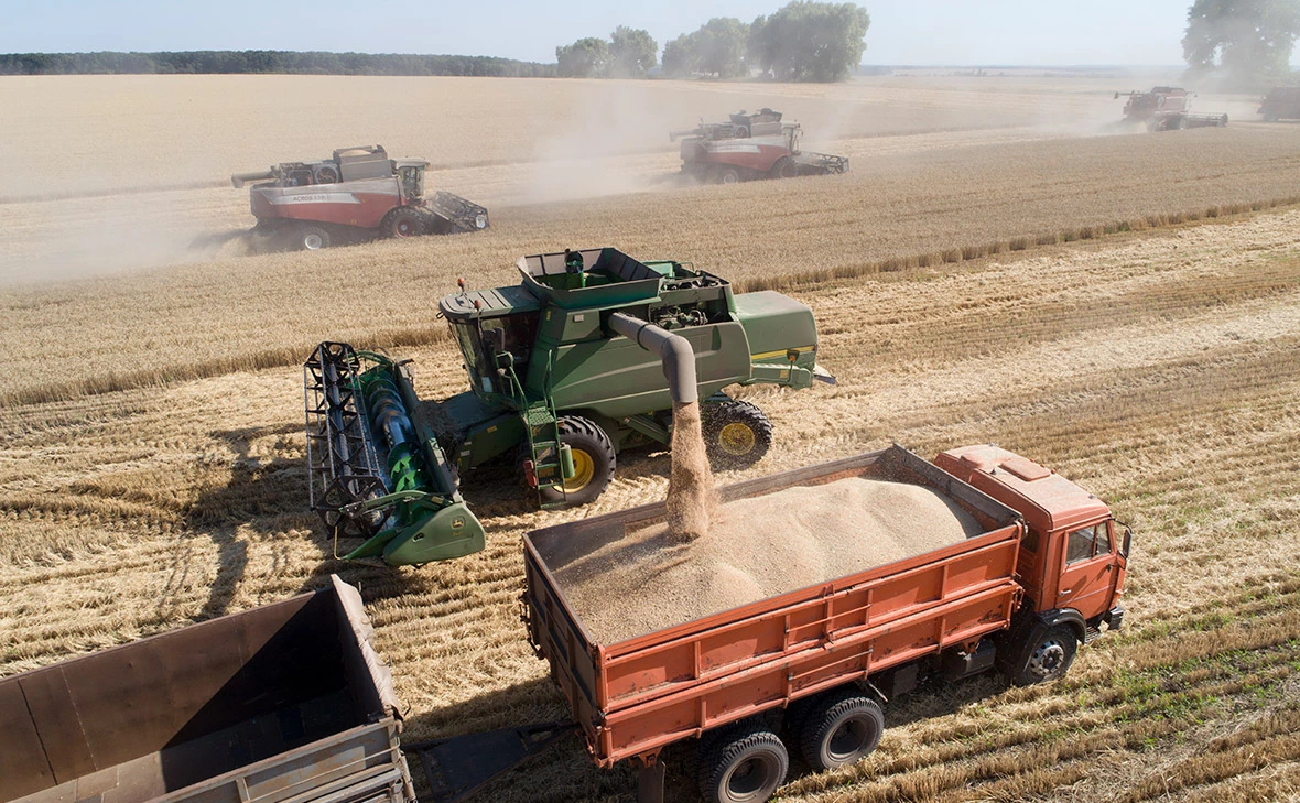 Николай Гынгазов / Global Look Press