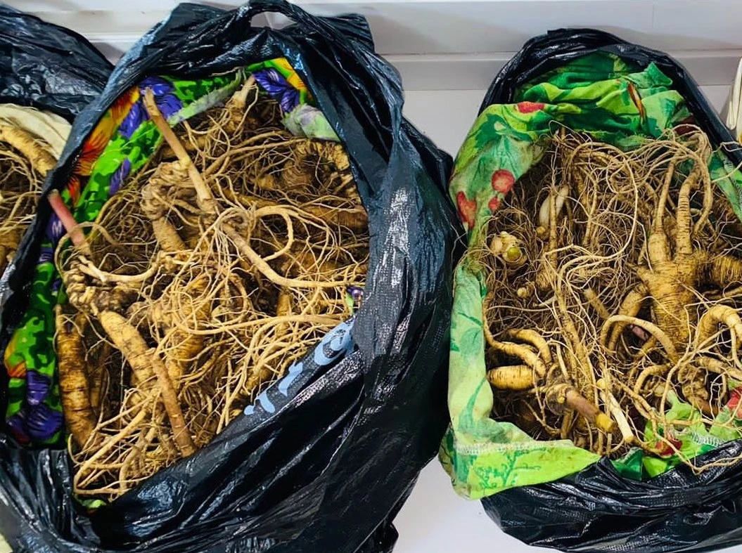 Уссурийская таможня