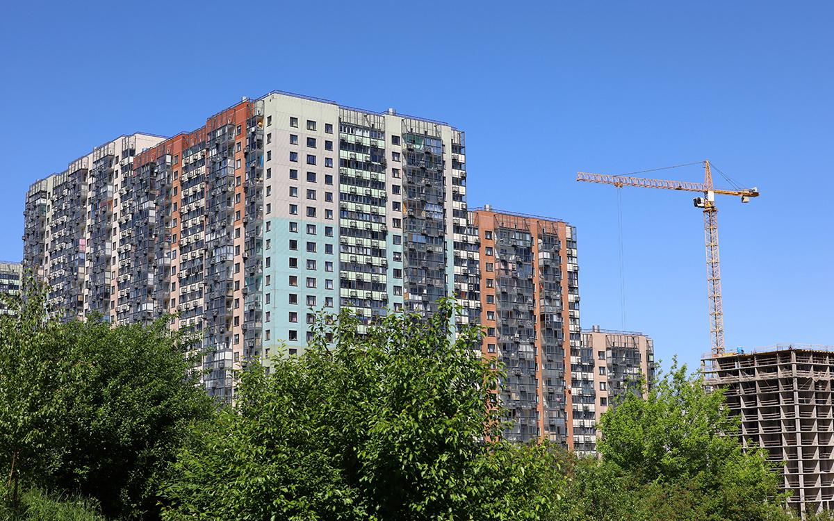 Фото: Oleg Elkov / Shutterstock / FOTODOM