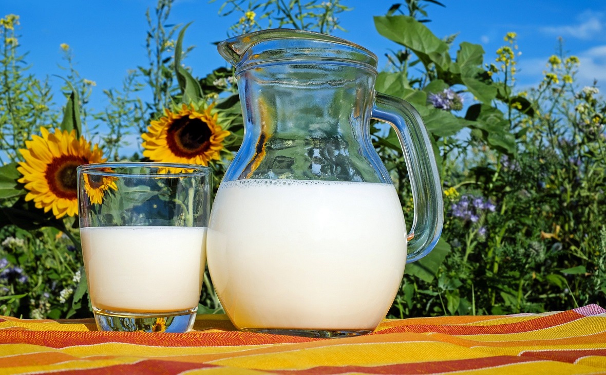 Шесть кубанских компаний вошли в топ-100 производителей молока в 2018г.