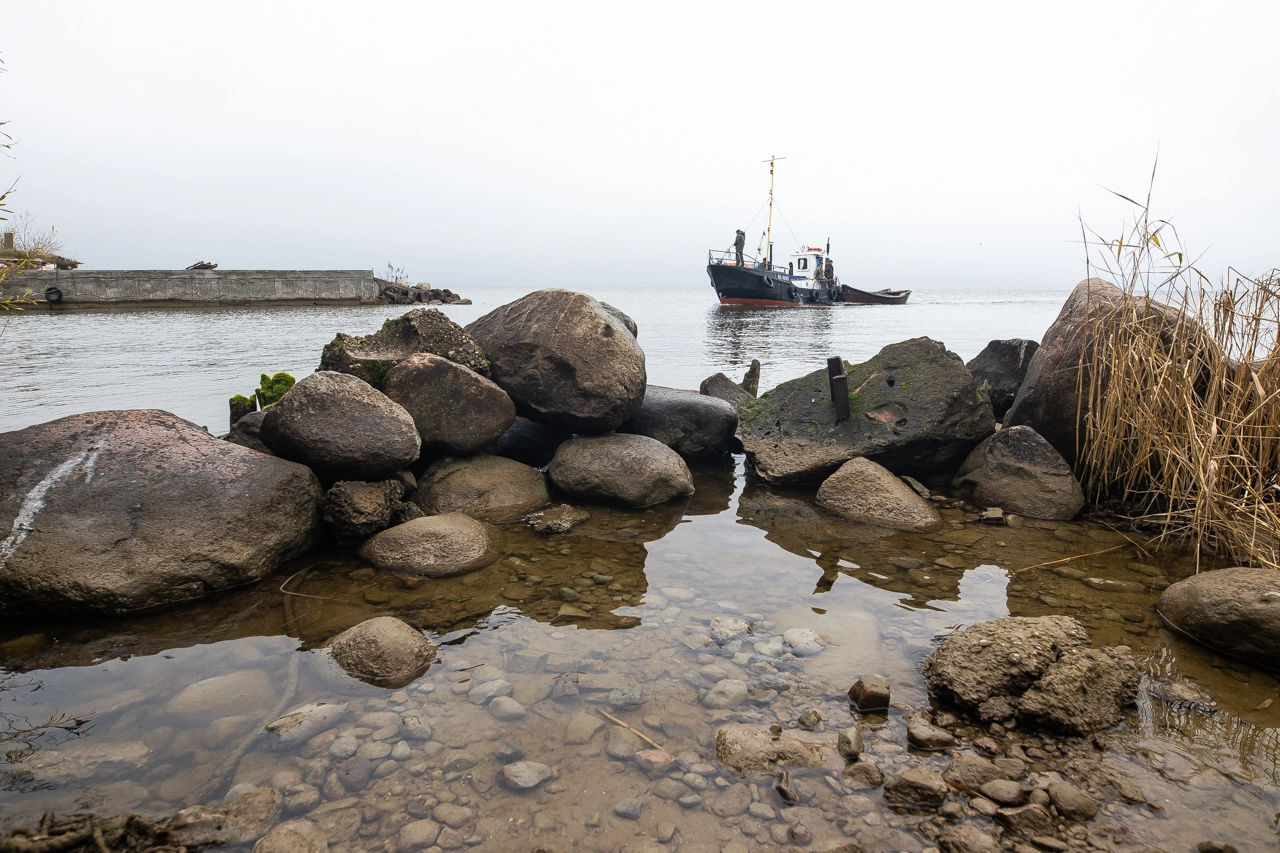 Александр Подгорчук