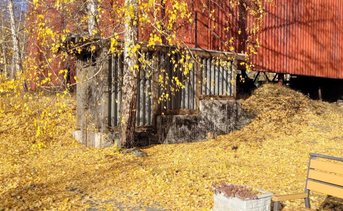 ekaterinburg.domclick.ru