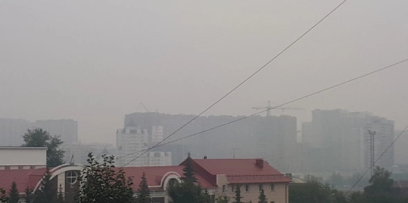 РБК Новосибирск 