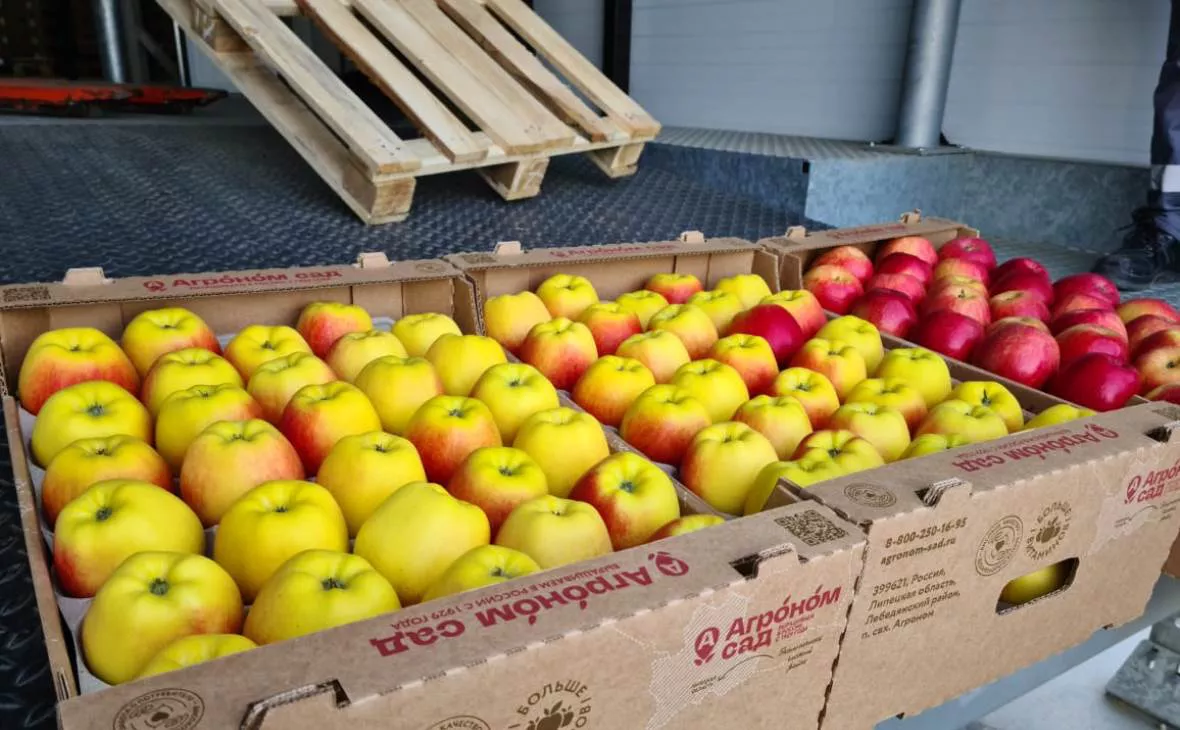 РБК Черноземье