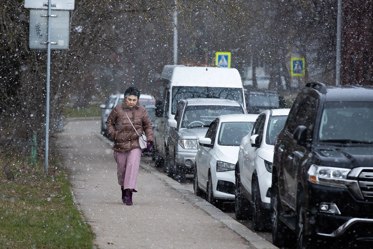 Александр Подгорчук