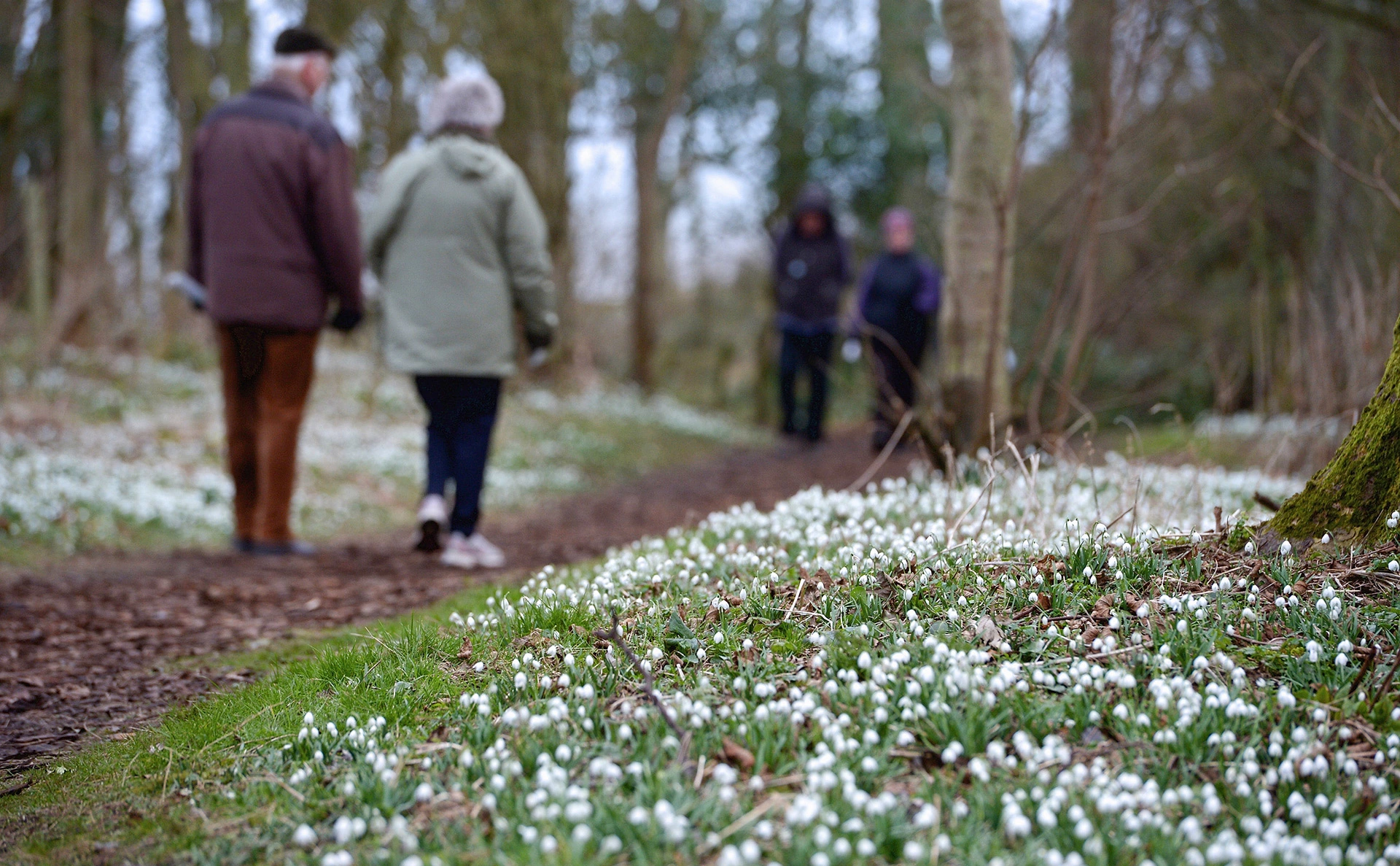 Jeff J Mitchell / Getty Images