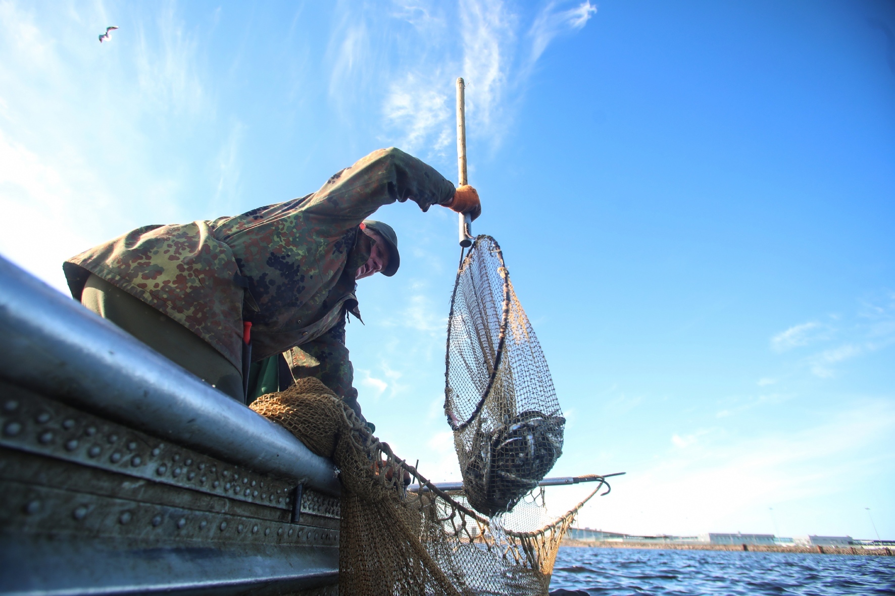 Фото: Пименов Роман/PhotoXPress.ru