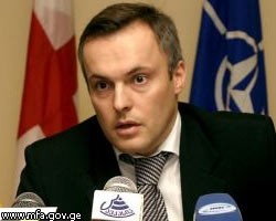 Тбилиси: Недовольство РФ не помешает Грузии вступить в НАТО