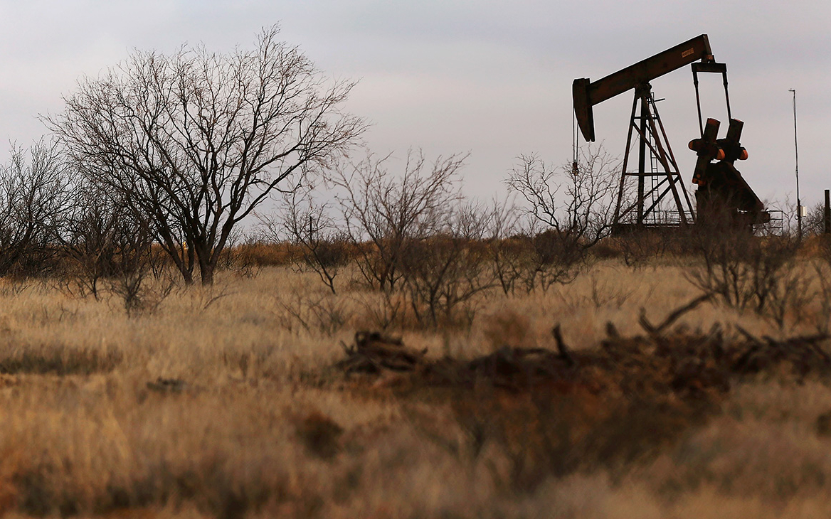 Кремль назвал сделку ОПЕК+ важной для предотвращения хаоса на рынке нефти