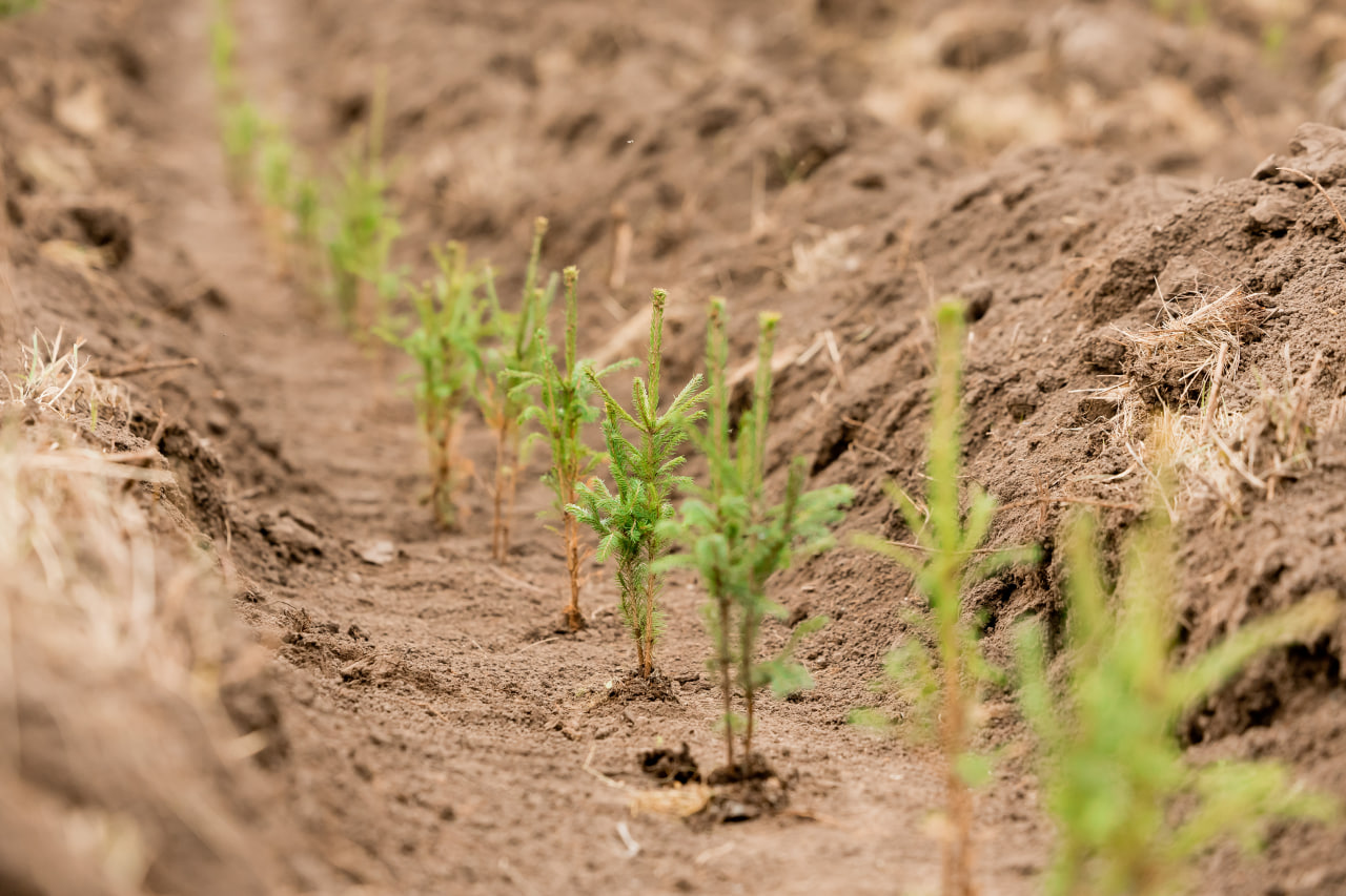 Фото: пресс-служба «Казаньоргсинтеза» 