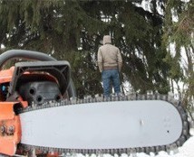 В Архангельской обл. мужчина условно осужден за нападение с бензопилой на пристава