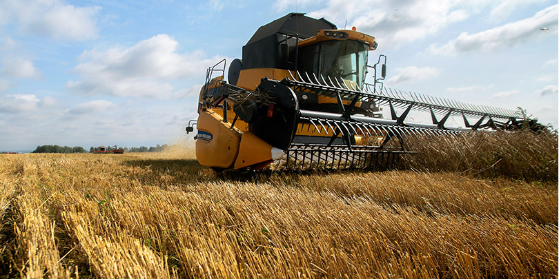 WSJ рассказала о «поражении» фермеров США из-за урожая пшеницы в России