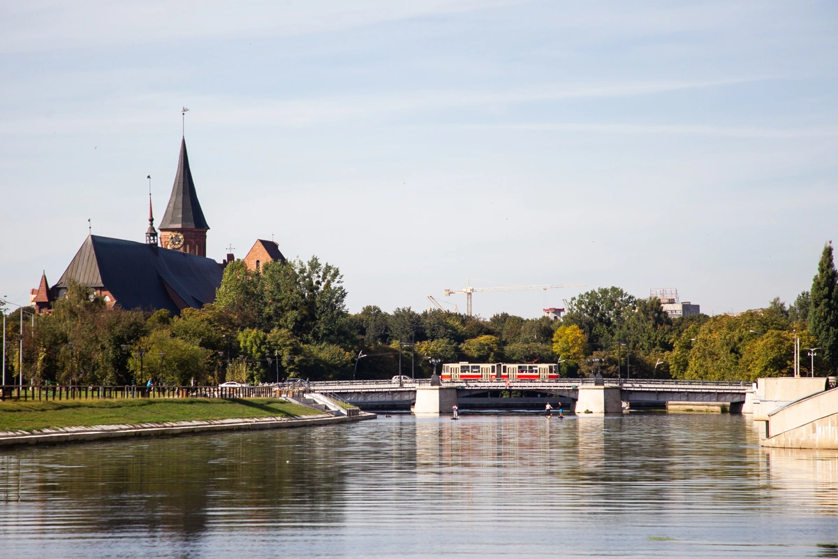 Александр Подгорчук