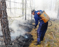 Площадь пожаров в России стремительно увеличивается