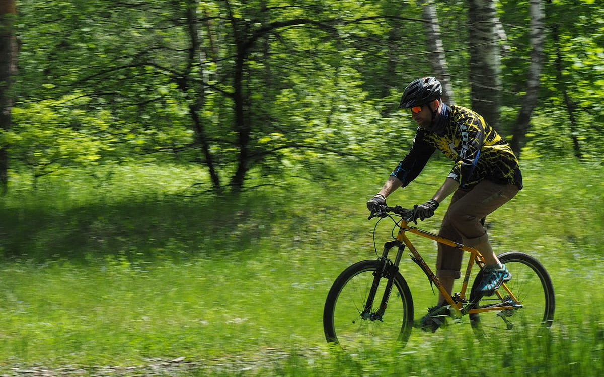 Велопрогулка по лесу