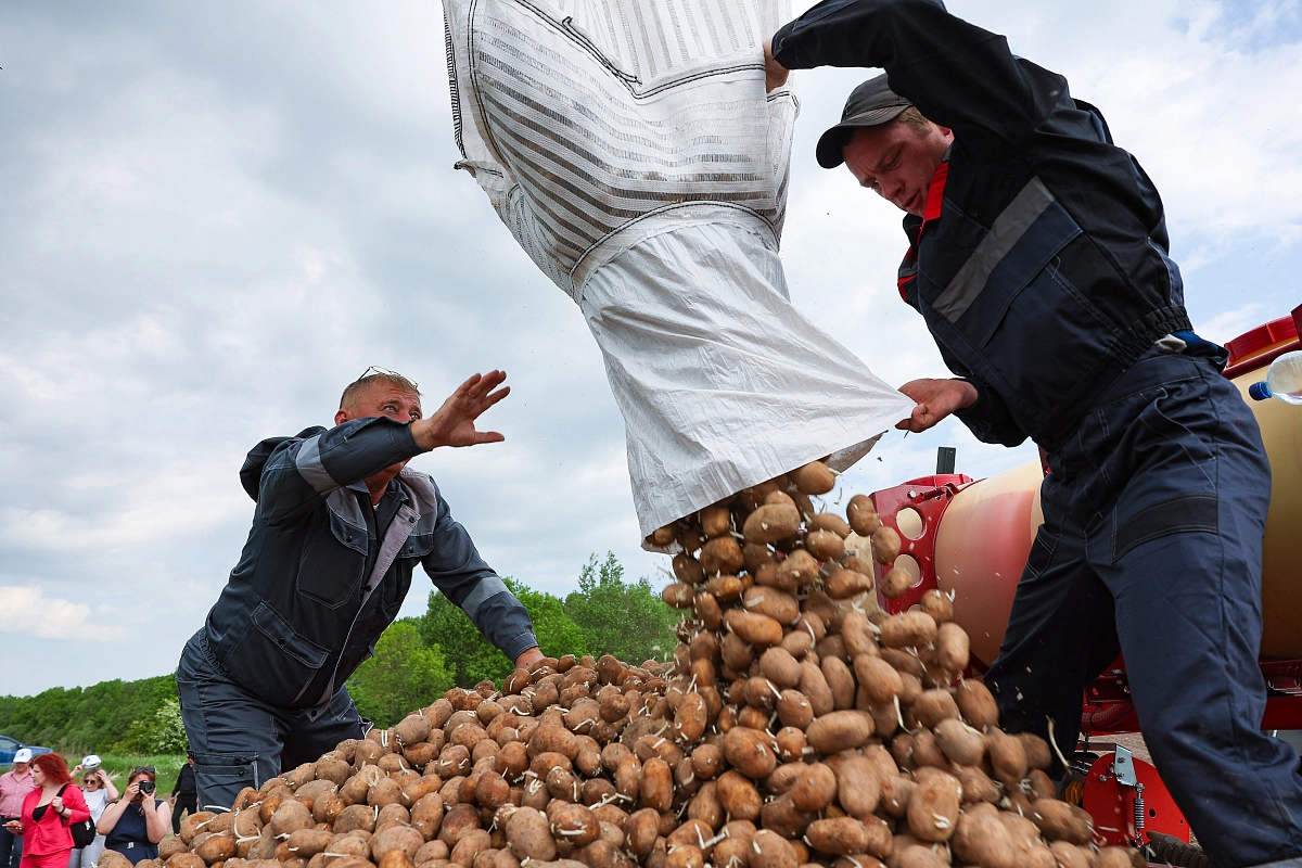 пресс-служба правительства региона