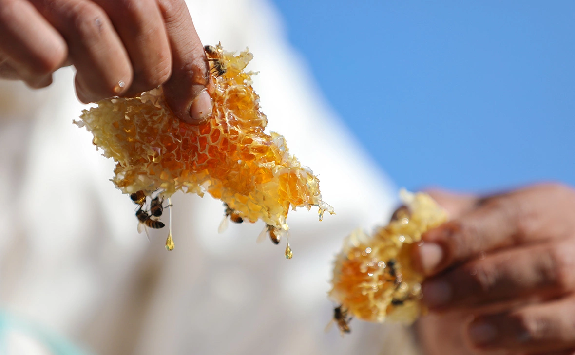 Belal Salem / Keystone Press Agency / Global Look Press