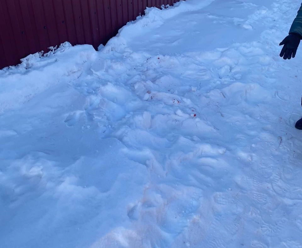 Прокуратура Хабаровского края