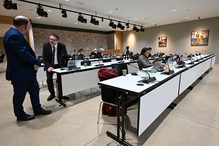 Екатерина Чеснокова / РИА Новости