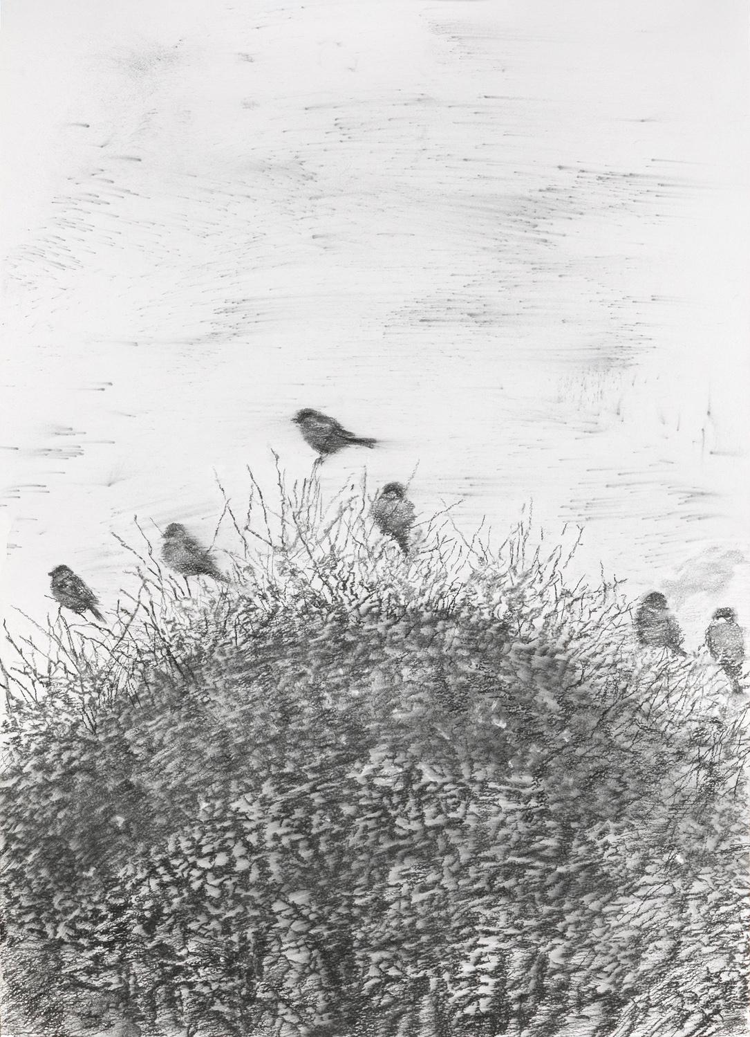 Ольга Чернышева. &laquo;Сфера&raquo;, 2025