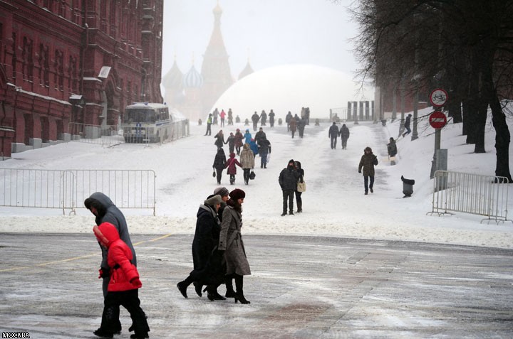 Весенняя пурга в Москве, а также другие сюрпризы природы