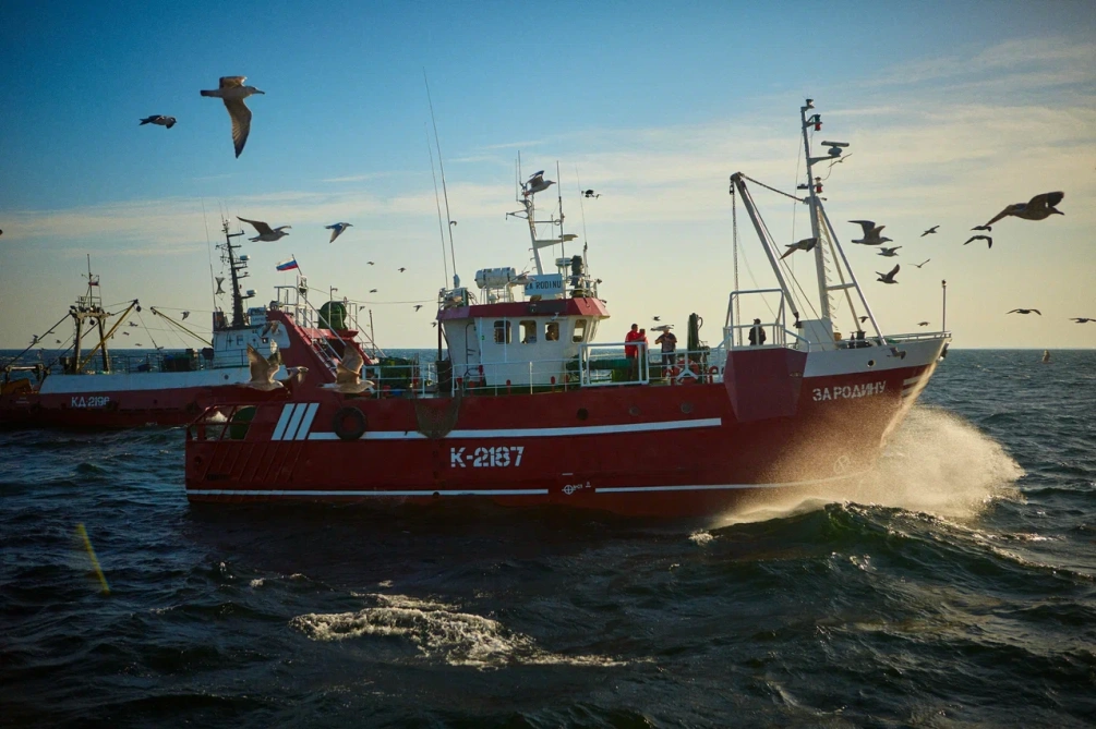 Фото: пресс-служба "За Родину"