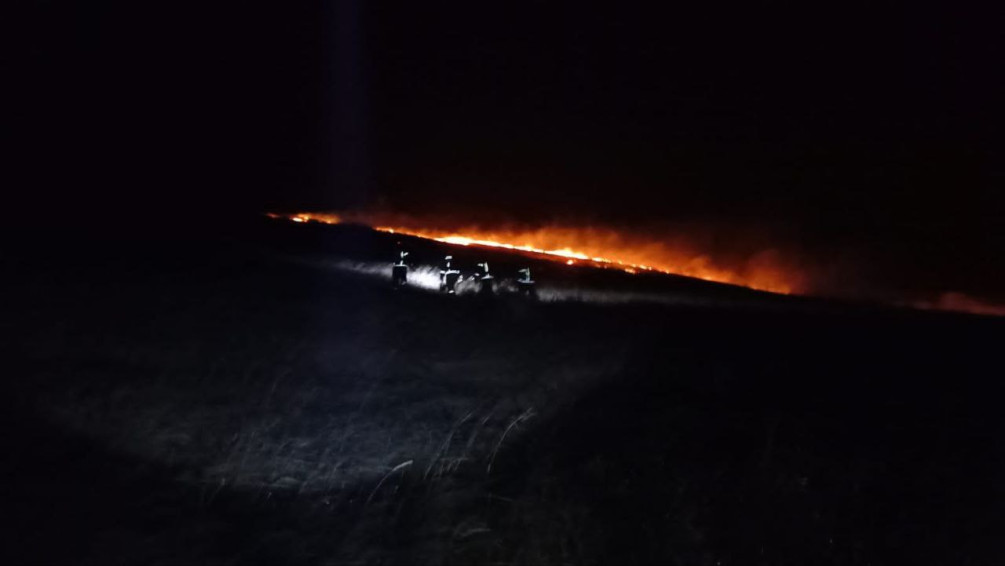 Фото: МЦУ Владивостока