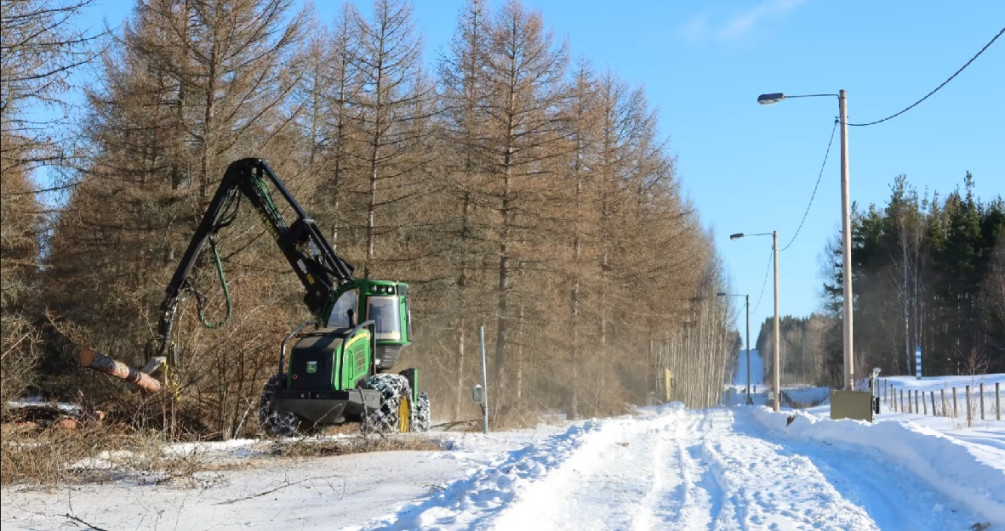 Фото: Yle.fi