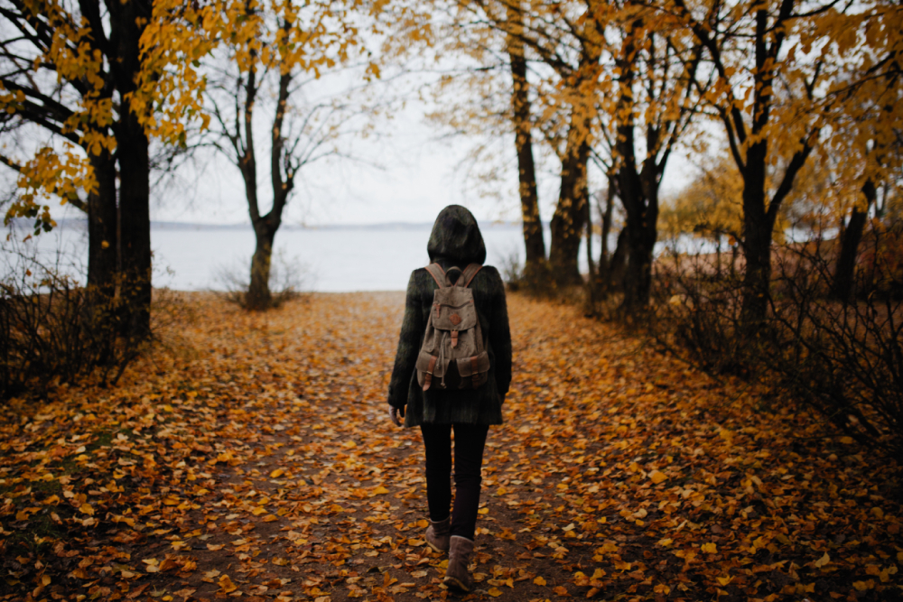 Фото: Dmitry Schemelev/Unsplash