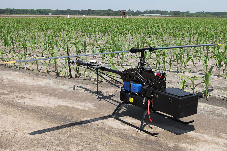 Фото: Johnny Clark / AP