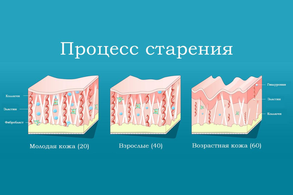 Фото: Designua / Shutterstock / FOTODOM