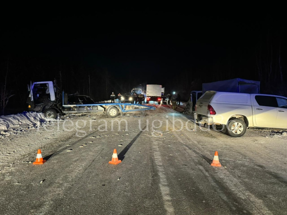 Фото: Госавтоинспекция Югры
