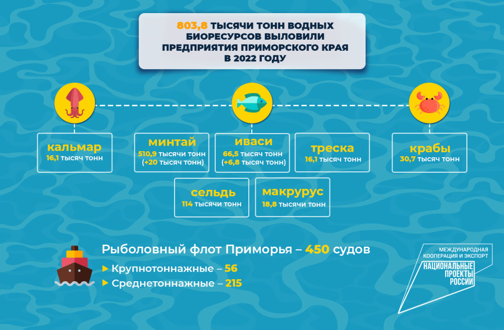 Фото: Правительство Приморского края