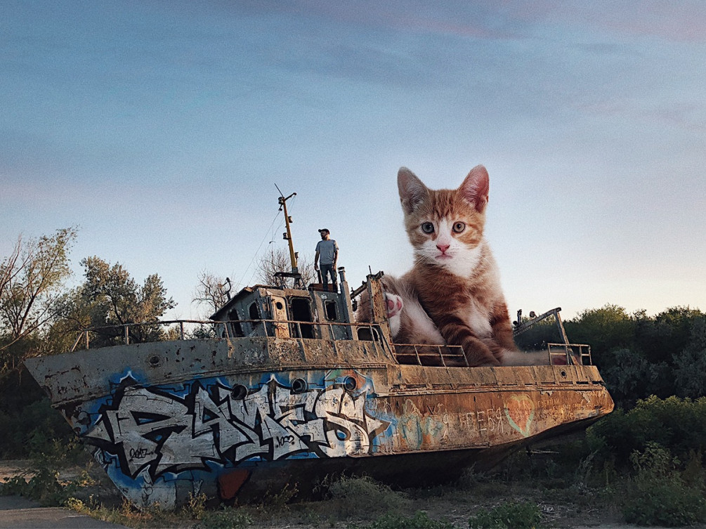 Фото: instagram.com/odnoboko