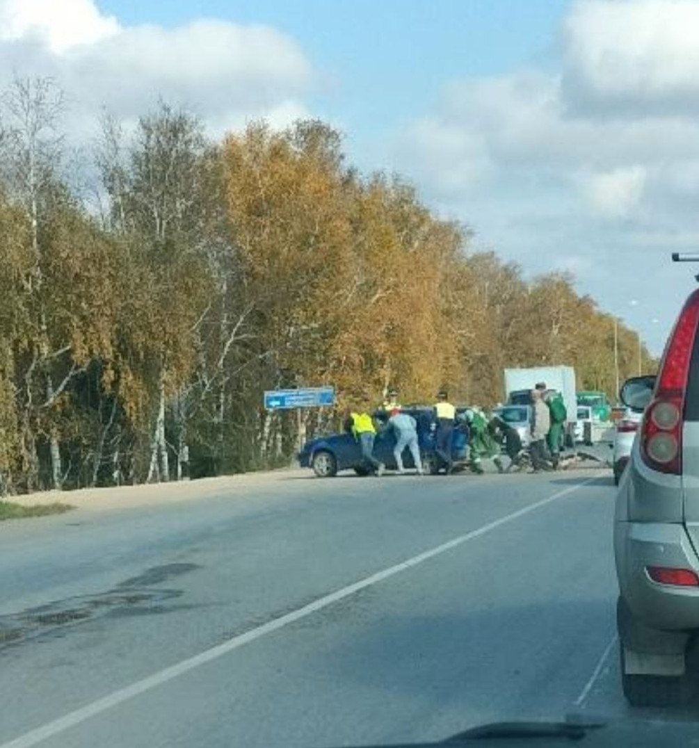 Фото: Светлана Каменских