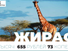 У кого в калининградском зоопарке самое дорогое меню. Инфографика